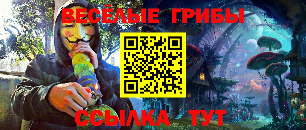 Конаково  Псилоцибиновые грибы MAGIC MUSHROOMS  Вход с VPN  купить   Галлюциногенные грибы GOLDEN TEACHER 