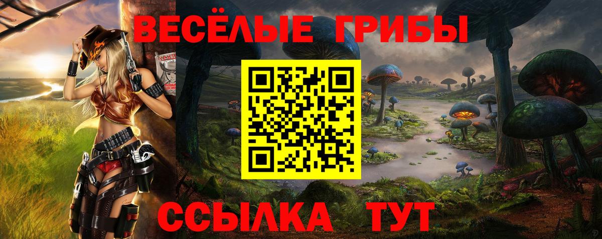 Псилоцибиновые грибы прущие грибы Конаково